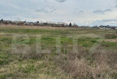 Teren intravilan cu toate utilitatile disponibile Dragomires - 3