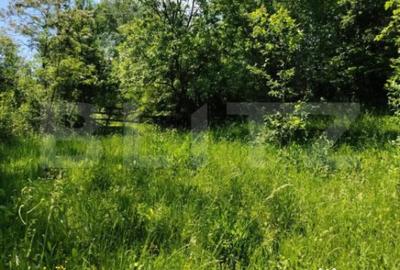 Teren de 4125 mp, în Fieni - 3