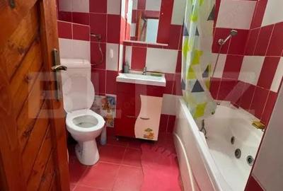 Apartament cu 2 camere decomandat în Gojdu - 7