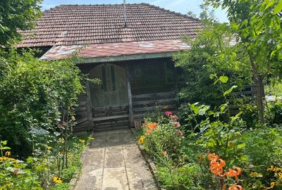 Casă cu 3 camere în Zemeș - 4