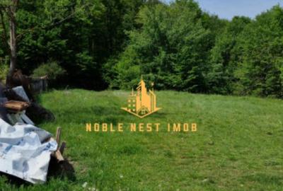 Teren extravilan 2200 mp - Budeasa Mica, Arge?, COMISION 0. - 3