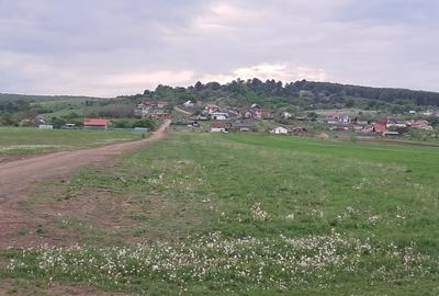 Teren Construcții intravilan de 590 mp, în Ilieni - 5