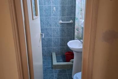 Apartament cu 2 camere decomandat în Mănăștur - 8