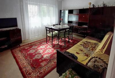 Apartament 2 camere - tip PC mare de inchiriat - 3