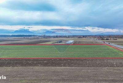 Spațiu comercial, în Lunca Calnicului - 4