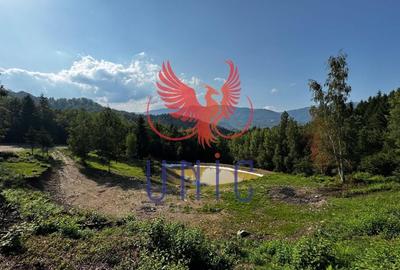 18000 mp de natura pura ,Lupeni, langa Straja - 28