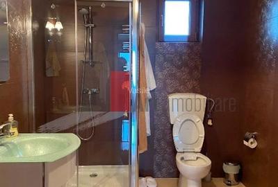 Vila Pantelimon, padure - 5