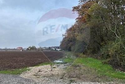 Teren Vladiceasca / Soseaua Vladiceasca 1109 mp Liziera Padurii - 4