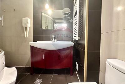 Apartament 3 camere de inchiriat - Cartierul Francez - 9