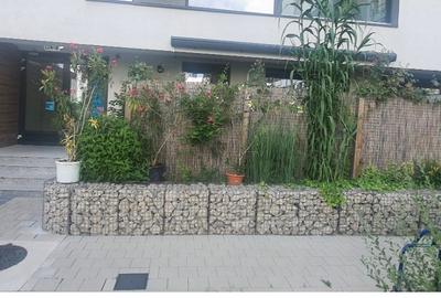 Garsonieră semidecomandată în Chitila - 2