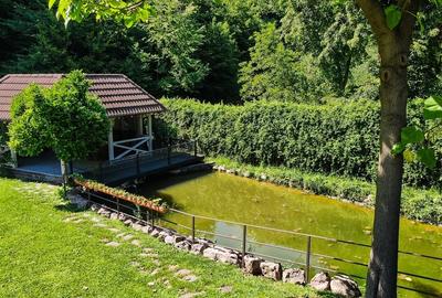 Casă individuală cu 9 camere cu Canalizare în Nord-Est - 3
