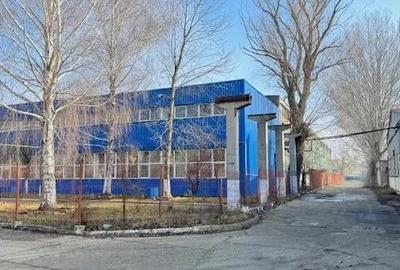 Vanzare/inchiriere 1-3 HALE si 1 cladire BIROURI, zona industriala mun. VASLUI - 18