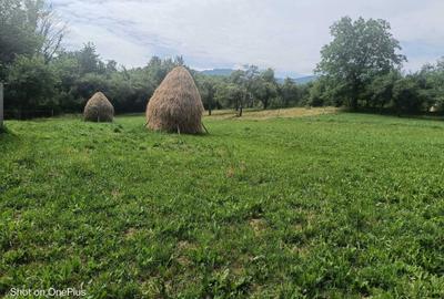 Casă cu 3 camere în Breb - 2