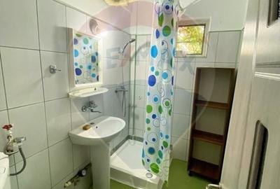 Apartament cu 2 camere semidecomandat, mobilat în Brazda lui Novac - 6