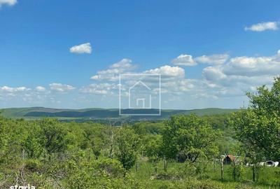 Teren de 1000 mp, în Central - 2