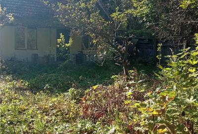 Casă cu 1 camere în Central - 1