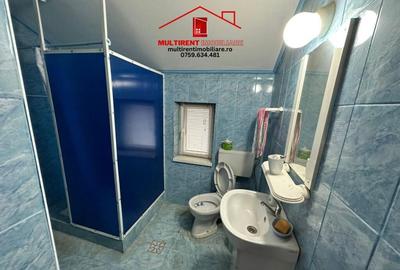 De vanzare Vila D+P+M - cartier Sud Vii -teren proprietate! - 36