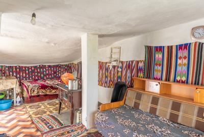 Teren Construcții de 13434 mp, în Ardeoani - 10