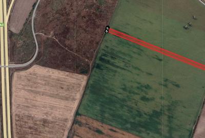 Teren Construcții intravilan de 10400 mp, în Ștefăneștii de Jos - 2