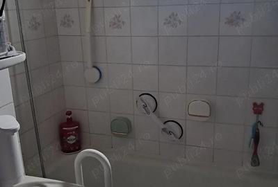 Apartament cu 2 camere decomandat în Micălaca - 3