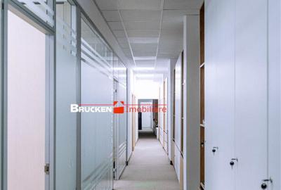 Spațiu comercial, de 437 mp, în Central - 6