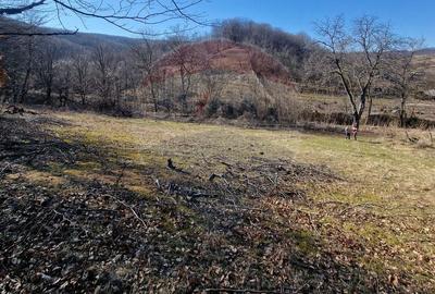 Teren Construcții intravilan de 4985 mp, în Sascut - 9