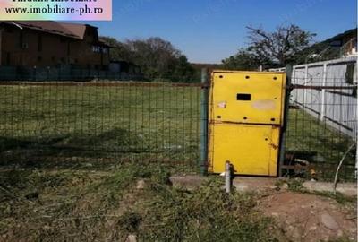 Teren Construcții intravilan de 1700 mp, în Cocoșești - 5