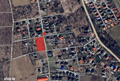 Spațiu comercial, în Bucium