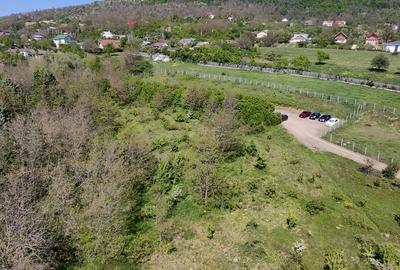 Teren de Vanzare - 850 mp | Petrarie - Burnova | Zona Verde, Investitie - 6