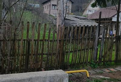 Teren de 2900 mp, în Aluniș - 4