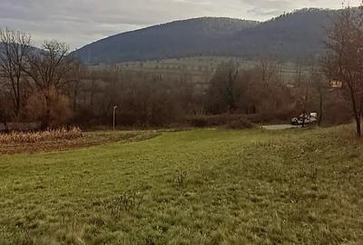 Teren de 3380 mp, în Șoimuș - 7