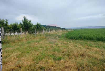 Teren de 18200 mp, în Central - 3