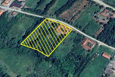 Casă individuală cu 8 camere cu Teren 3800 Mp în Răchitova - 28