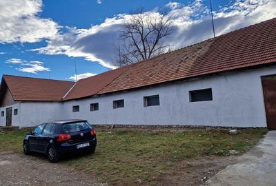 Hala de vanzare. - 1