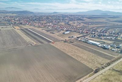 Teren Extravilan, P.U.Z. inceput - 7