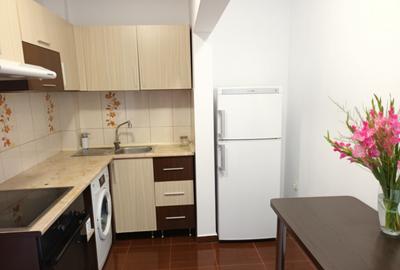 Apartament cu doua camere Iosefin - 13