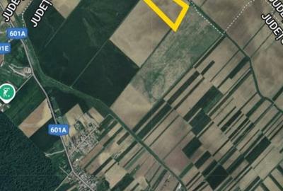 Teren extravilan 16,3 ha | Cosoba, Giurgiu | fotovoltaice - 3