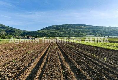 Teren de 4094 mp, în Șoimuș - 4