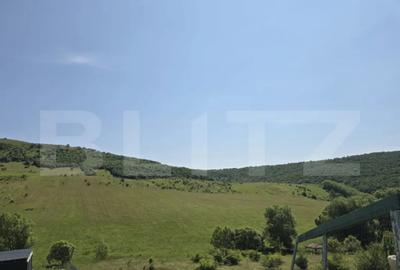 Teren de 1200 mp, în Sălicea - 3