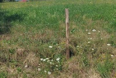 Teren de 2030 mp, în Rădăcinești - 7