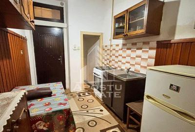 Apartament cu 2 camere nedecomandat în Iosefin - 1