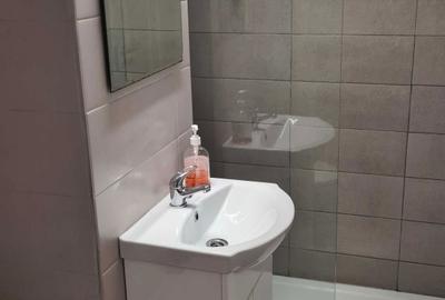 Apartament cu 2 camere semidecomandat în Cetate - 4
