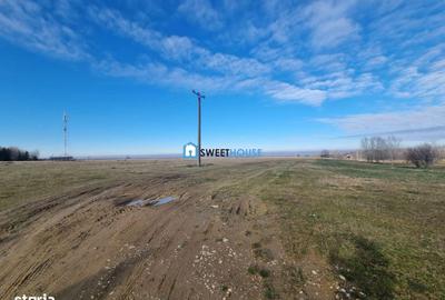 Spațiu comercial, în Dejani - 5