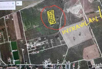 Teren în 1 Decembrie - 5