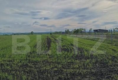 Teren intravilan cu 2 drumurie de acces. - 1