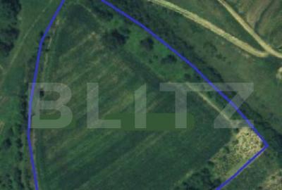 Teren intravilan, 21.450 mp, utilitati, acces autostrada, sa - 1