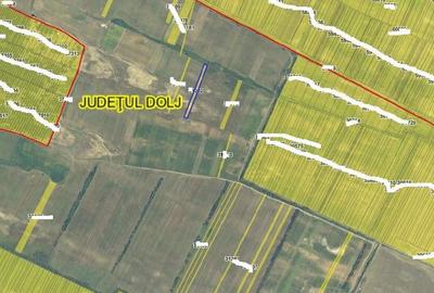 Teren extravilan, loc Densa, Jud Dolj - 3
