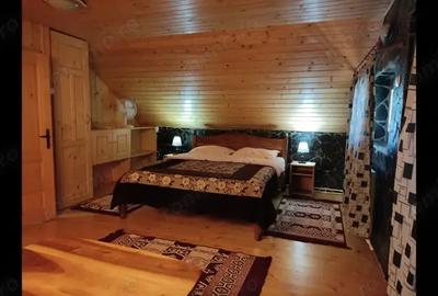 Casă cu 6 camere în Polovragi - 4