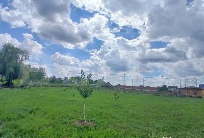 Casă cu 7 camere cu Teren 9245 Mp în Tinca - 1