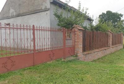 Casă cu 2 camere cu Teren 25000 Mp în Nisipeni - 8